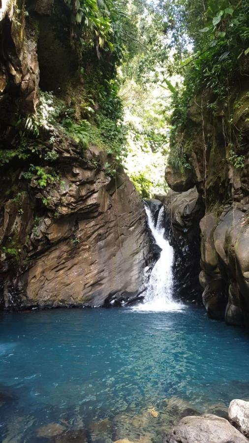 Villa Campeche ブイヤント エクステリア 写真